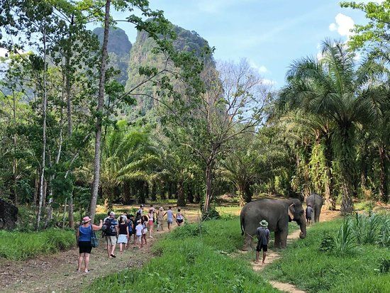 Khao Sok Elephant Sanctuary